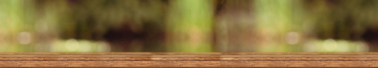 slider-bg-wood